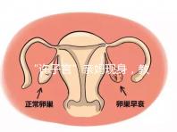 “許子言”親媽現身,教你如何生一個媽媽的小情人小暖爐!