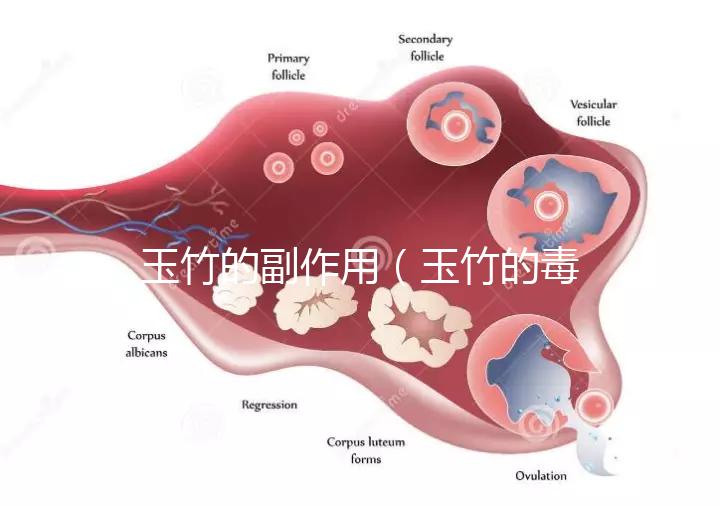 玉竹的副作用（玉竹的毒性有多強？）