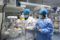 玉女掌門人楊采妮誕下雙胞胎，公布懷孕5月照絕絕子