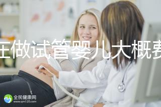 現在做試管嬰兒大概費用是多少
