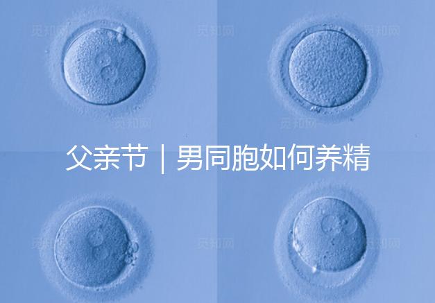 父親節(jié)｜男同胞如何養(yǎng)精蓄銳，一發(fā)即中？