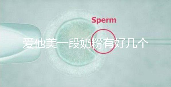 愛他美一段奶粉有好幾個版本，但真偽查詢方法都相似