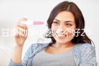 甘肅助孕中醫(yī)哪個(gè)好2024，成功率高又便宜？