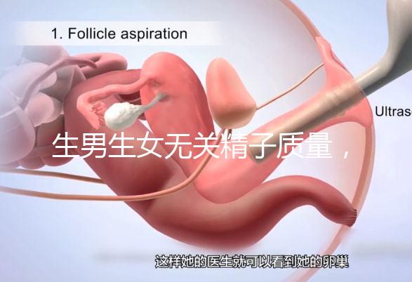 生男生女無關精子質量，分享成功懷男孩的4個細節(jié)經驗