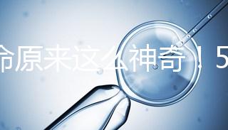 生命原來這么神奇！5個步驟詮釋胚胎培育的全過程