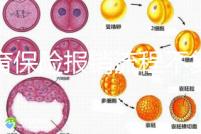 生育保險(xiǎn)報(bào)銷(xiāo)流程不復(fù)雜，辦理地點(diǎn)不分地域異地可報(bào)銷(xiāo)