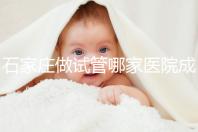 石家莊做試管哪家醫院成功率最高(石家莊做試管哪家醫院成功率最高的)