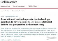 目前國(guó)外做試管嬰兒需要結(jié)婚證嗎?不同地區(qū)證照要求解讀