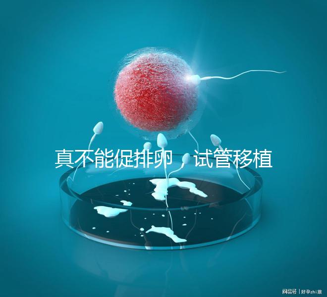 真不能促排卵，試管移植前吃優思明作用與功效竟是這