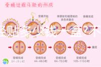 痛經(jīng)貼多少錢一盒?不同品牌痛經(jīng)貼價格盤點(diǎn)