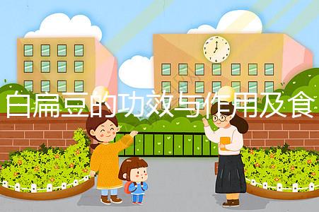 白扁豆的功效與作用及食用方法(白扁豆治什么病最好)