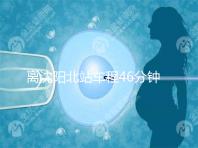 離沈陽北站車程46分鐘!沈陽菁華醫院地址及路線一覽