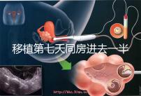移植第七天同房進去一半有無影響戳,沒出血問題就不大