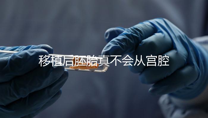 移植后胚胎真不會(huì)從宮腔掉出來！原因有這些...