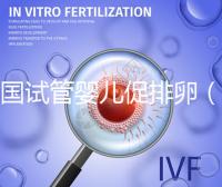 美國試管嬰兒促排卵(美國試管嬰兒促排卵常用什么藥物)