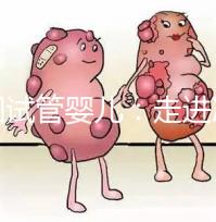 美國試管嬰兒:走進冷凍卵子技術