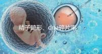 精子畸形、dna碎片率高，三代試管嬰兒或許是最后“救星”