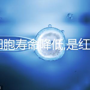 紅細胞壽命降低,是紅細胞計數(shù)偏低4大原因之一