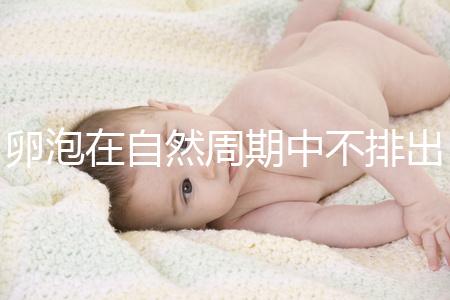 卵泡在自然周期中不排出可以移植快速get嗎？取卵好看嗎？