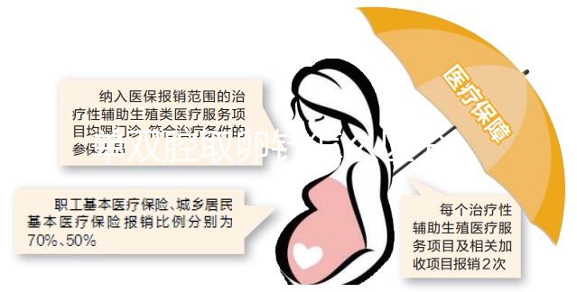 單雙腔取卵針怎么區(qū)分,針號結(jié)構(gòu)是關(guān)鍵(內(nèi)含說明書)