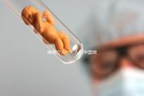 單身女人一個(gè)人在中國(guó)做試管嬰兒需要多少錢(qián)?
