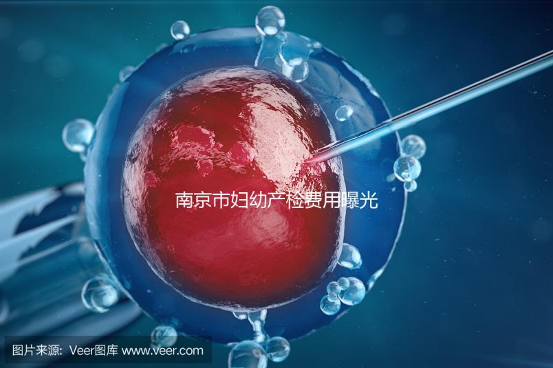 南京市婦幼產檢費用曝光，附2024詳細掛號時間和流程