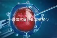 十堰做試管嬰兒需要多少錢？各大醫院成功率及費用在這里