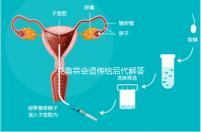 克魯宗會遺傳給后代解答嗎?他生來就有一篇清晰的文章嗎?