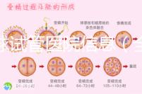 全球試管醫院信息(全球試管醫院排名)