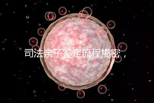 司法親子鑒定流程揭密，附準備材料請一并參考