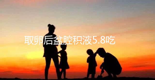 取卵后盆腔積液5.8吃什么好?這4種食物助你更快恢復(fù)