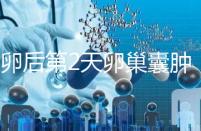 取卵后第2天卵巢囊腫，怎么能快速恢復？