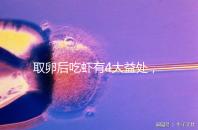 取卵后吃蝦有4大益處，且聽本文娓娓道來！