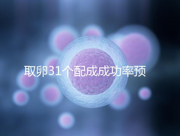 取卵31個(gè)配成成功率預(yù)測(cè)，鮮胚個(gè)數(shù)在這個(gè)范圍都有希望