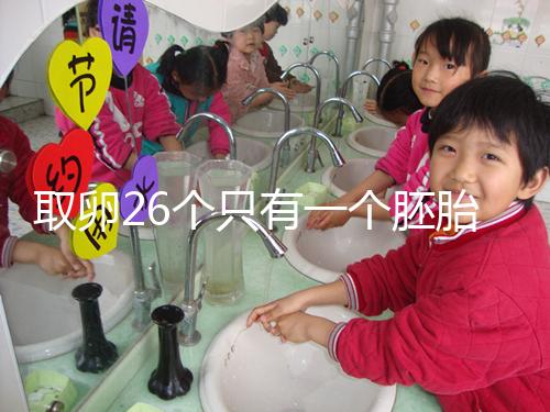 取卵26個(gè)只有一個(gè)胚胎成功率不低，次月移植凍胚易著床