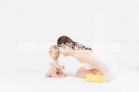 加拿大做試管要不要結婚證不知道,但這2樣證件必須要!