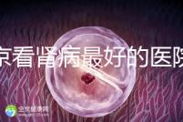 北京看腎病最好的醫院（北京腎內科最厲害三個醫生）