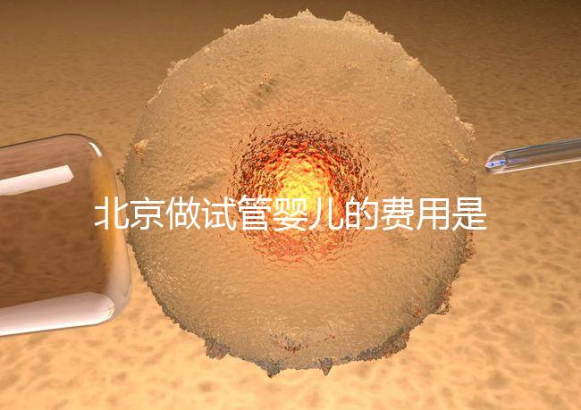 北京做試管嬰兒的費(fèi)用是多少錢?詳細(xì)流程是怎樣的?