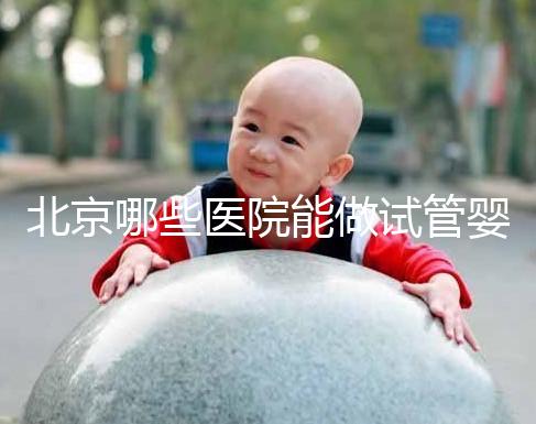 北京哪些醫院能做試管嬰兒？