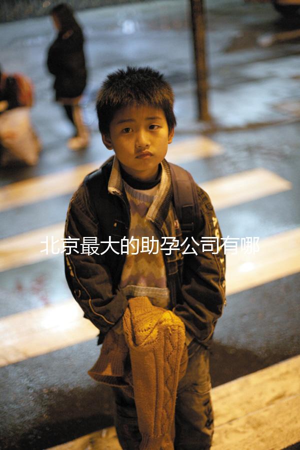 北京最大的助孕公司有哪些,是合法的嗎?