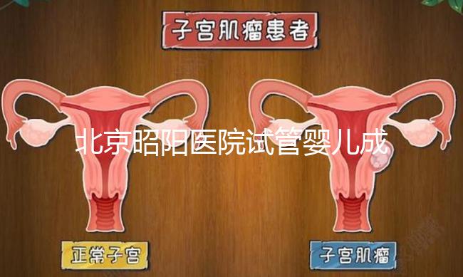 北京昭陽醫院試管嬰兒成功率？生殖醫院醫生排名推薦