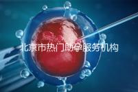 北京市熱門助孕服務機構(gòu)排名榜單!這三家性價比比較出眾!