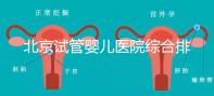 北京試管嬰兒醫(yī)院綜合排名比較完美的有哪幾個(gè)