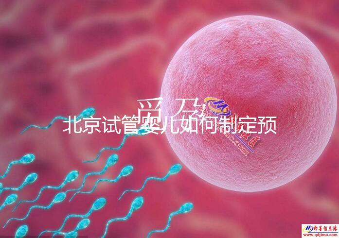 北京試管嬰兒如何制定預算，費用解析必看