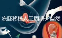 凍胚移植人工周期、自然周期怎么選？哪個成功率高？