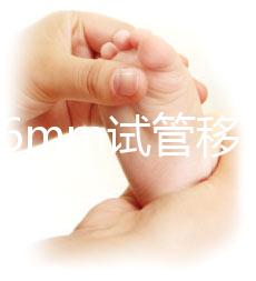 內膜16mm試管移植能否著床速覽，可否移植看身體情況