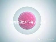 別再傻傻分不清了!詳解美國(guó)試管嬰兒和人工授精的區(qū)別