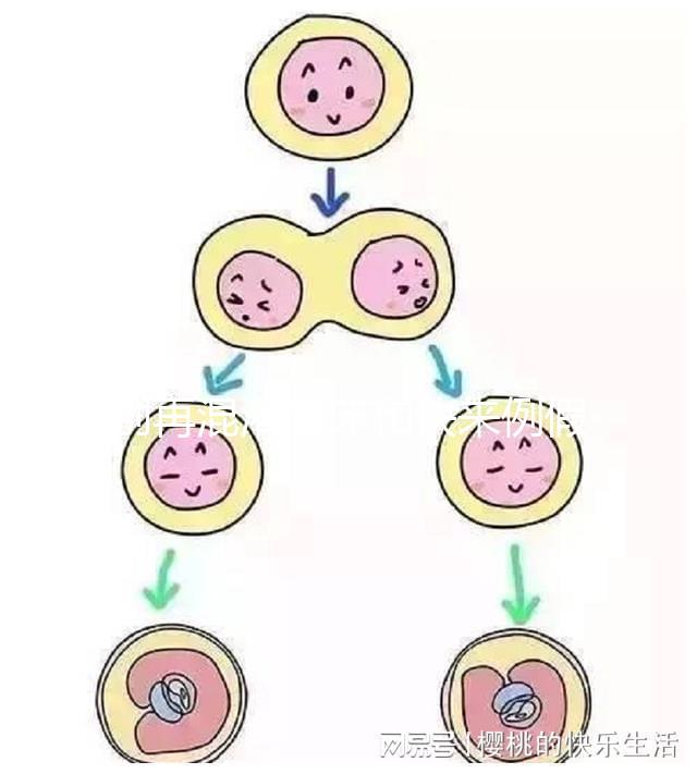別再混淆著床和快來例假了，除了出血量還有這些區別