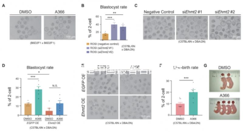 哪家是中國最著名的不孕不育醫(yī)院，包括正規(guī)機(jī)構(gòu)的排名