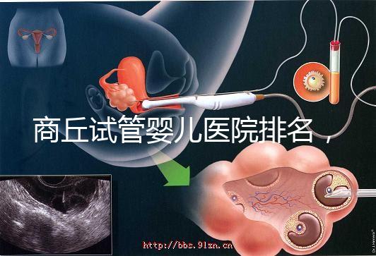 商丘試管嬰兒醫院排名，附3家公立機構助孕成功率和費用